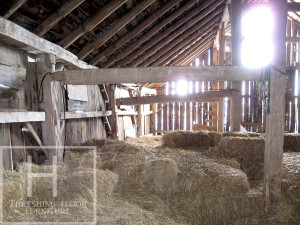 Ontario Reclaimed Wood Demolition Process HD Threshing Gerald (2)