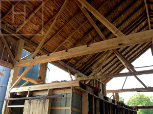 Ontario Reclaimed Wood Demolition Process HD Threshing Gerald (2)