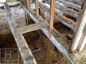 Ontario Reclaimed Wood Demolition Process HD Threshing Gerald (2)