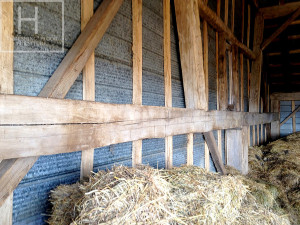 Ontario Reclaimed Wood Tables - Demolition Process HD Threshing Gerald (2)