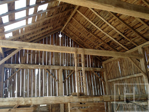 Ontario Reclaimed Wood Tables - Demolition Process HD Threshing Gerald (2)