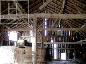 Ontario Reclaimed Wood Demolition Process HD Threshing Gerald (2)