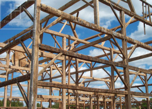 Ontario Reclaimed Wood Tables - Demolition Process HD Threshing Gerald Reinink Threshing Floor