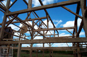 Ontario Reclaimed Wood Tables - Demolition Process HD Threshing Gerald Reinink Threshing Floor