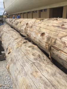 Ark Encounter, Answers in Genesis, AIG, Gerald Reinink, Ken Ham, oldgrowth wood, reclaimed wood Ontario