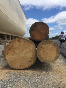 Ark Encounter, Answers in Genesis, AIG, Gerald Reinink, Ken Ham, oldgrowth wood, reclaimed wood Ontario